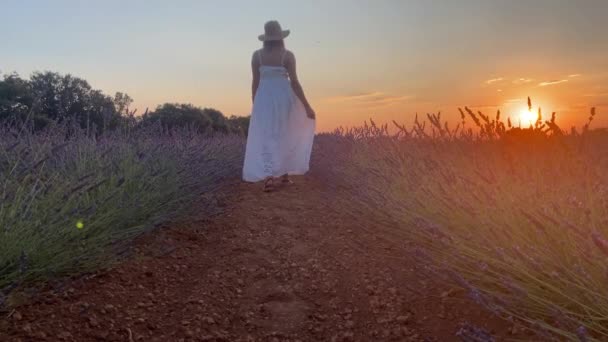 Düşük Açılı Statik Görüş Kameradan Uzaklaşan Kızın Turuncu Güneş Ufukta — Stok video