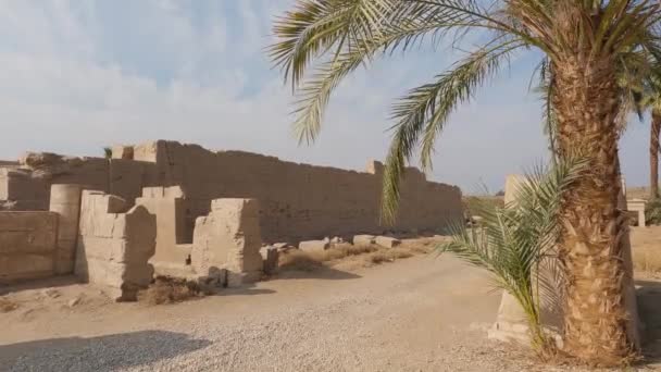 Liście Palmy Falujące Wietrze Przeciwko Ruinom Świątyni Karnak Luxor Egipt — Wideo stockowe