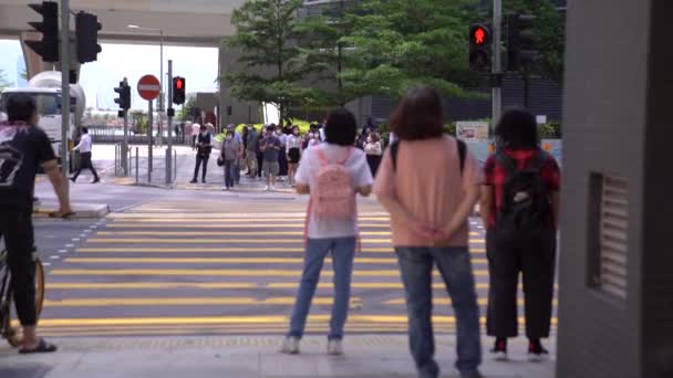 Hongkong Maio 2022 Cidadãos Caminhando Movimento Através Cruz Zebra Trabalho — Vídeo de Stock