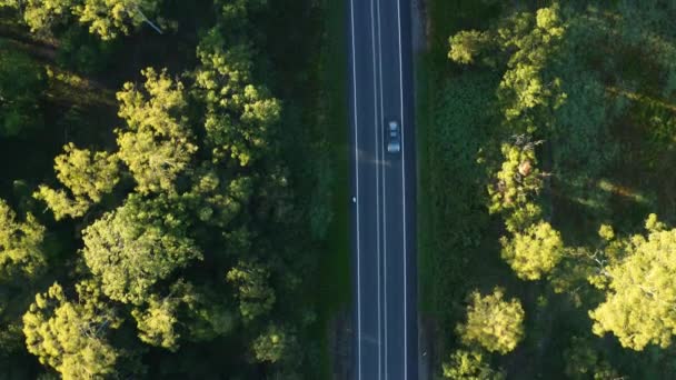 Aerial Drone Vista Dall Alto Tracking Bike Cyclist Riding Con — Video Stock