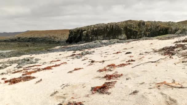 スコットランドの砂浜に沿って 山を背景に外を見る遅い 広い角度のパンニングが撮影されました スコットランドのArdnamurchan半島 — ストック動画
