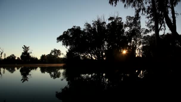 Murry River Sunrise Loxton South Australia — Stock Video