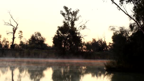 Nebbia Sul Fiume Murray All Alba Loxton Australia Meridionale — Video Stock