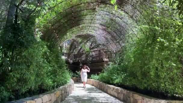 白いドレスの女性は美しい緑の葉のトンネルを歩く ペルゴラは植物を登ることによってカバー — ストック動画