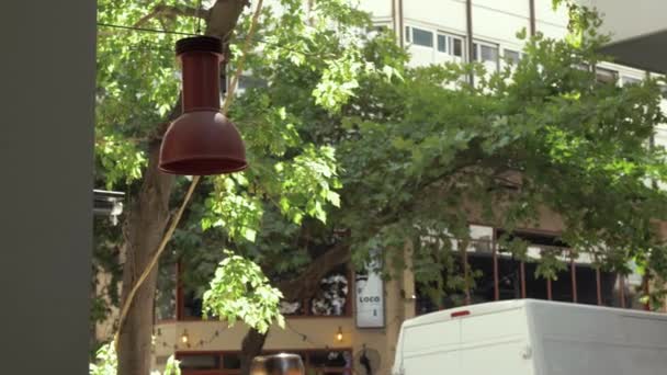 Sycamore Ağaçları Atina Şehir Merkezine Canlı Renkler Ekliyor — Stok video