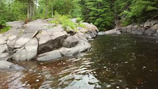 Доллі Правильно Вистрілила Відкриваючи Шлях Води Зеленим Деревом Берегах — стокове відео