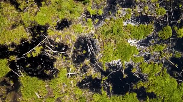 Directe Bovengrondse Antenne Met Zon Die Weerkaatst Uit Het Wetland — Stockvideo