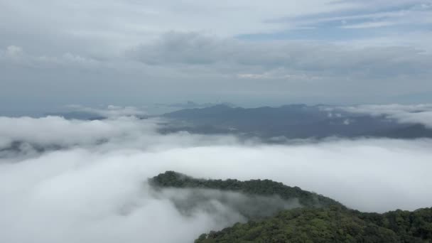 Vuelo Aéreo Hacia Atrás Sobre Serra Mar Cubierto Nubes Brasil — Vídeo de stock
