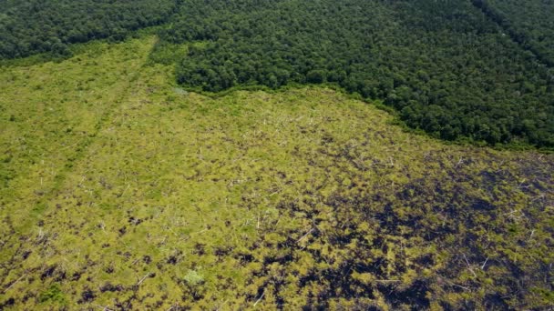 Aérea Gran Altitud Sobre Triste Pantano Refugio Nacional Vida Silvestre — Vídeos de Stock