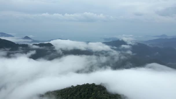 Cena Dramática Serra Mar Coberta Por Nuvens Brasil Anteprojecto Aéreo — Vídeo de Stock