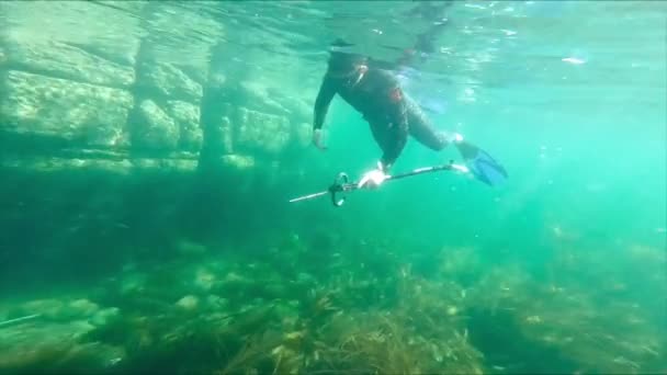 Genç Adam Sığ Sularda Balık Avlıyor — Stok video