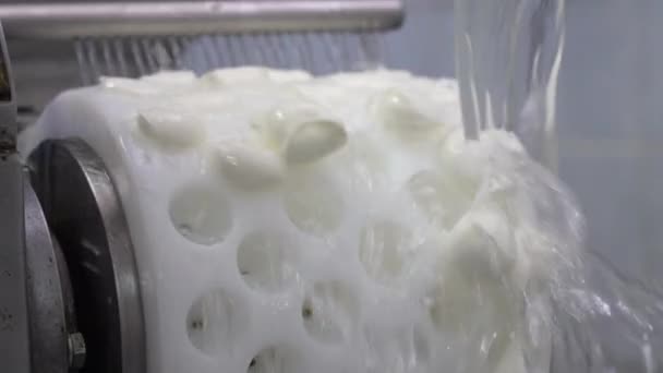 Fabricação Produção Processo Fabricação Queijo Mozzarella Trabalhador Derramando Água Roda — Vídeo de Stock