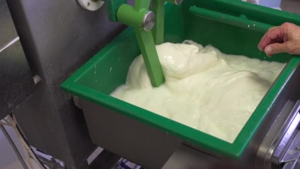 Manufacture Production Making Process Mozzarella Cheese Modern Machine Factory Stir — Stock Video