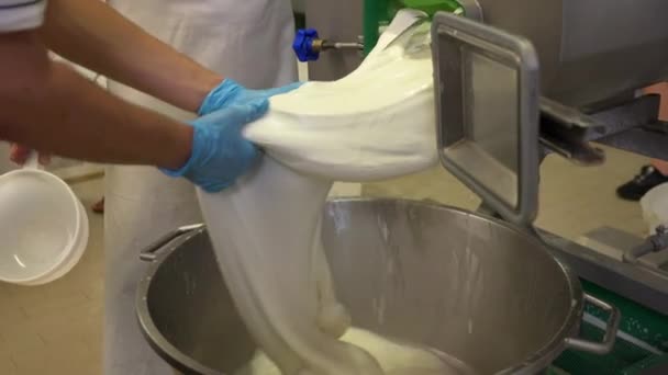 Fabricación Producción Fabricación Proceso Queso Mozzarella Trabajadores Vacío Tanque Cocina — Vídeo de stock