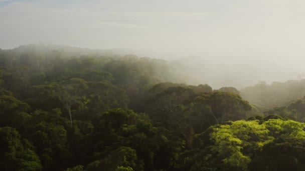 Aerial Drone Shot Climate Change Costa Rica Misty Rainforest Scenery — Stockvideo