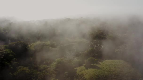 Aerial Drone Shot Flying Misty Rainforest Clouds Tropical Jungle Landscape — Vídeos de Stock