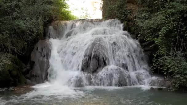 中等规模的瀑布式瀑布 其中水下降一系列岩石台阶之间的植被 亮晶晶的阳光皮德拉河航道西班牙皮德拉修道院公园 — 图库视频影像