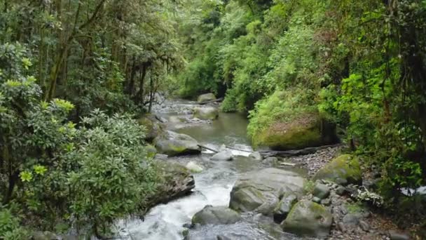 Aerial Drone View River Costa Rica Rainforest Scenery Beautiful Nature — Αρχείο Βίντεο