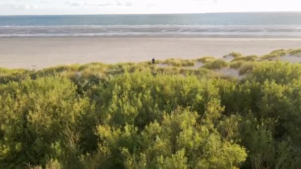 Drone Pilot Flyger Drönare Över Sandstrand Sanddyner Gräs Till Havet — Stockvideo