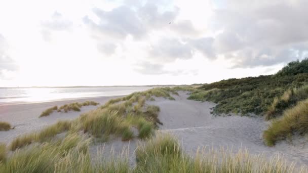 砂丘の草を振っての空中ワイドショット 空の砂浜と海の水面に太陽の反射 — ストック動画