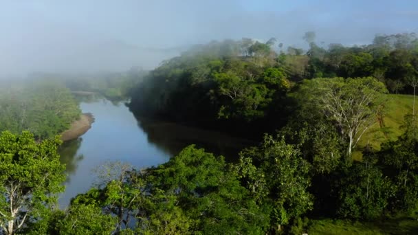 Aerial Drone View San Carlos River Rio San Carlos Costa — Stockvideo