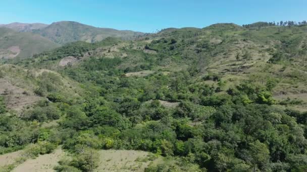 Vuelo Aéreo Sobre Paisaje Forestal Montañoso República Dominicana Con Frontera — Vídeo de stock