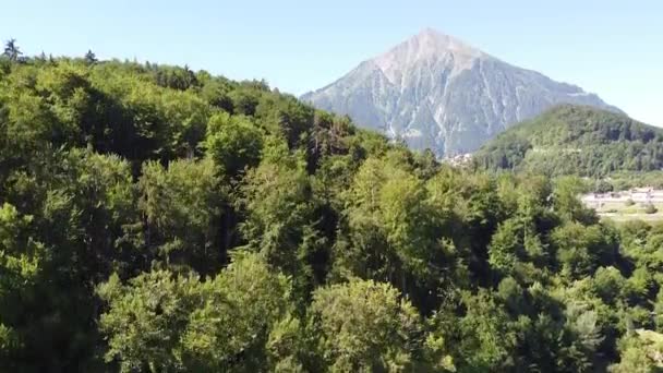 Envoler Forêt Pour Révéler Les Alpes Spiez Suisse — Video