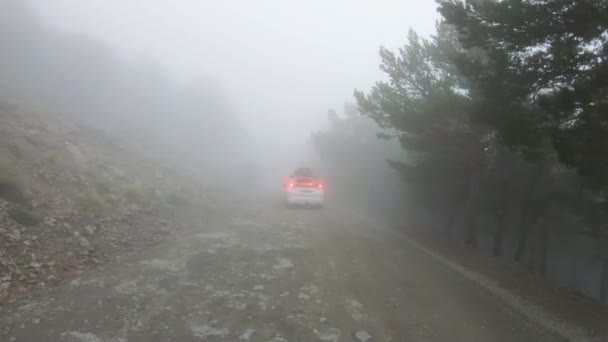 Прогулка Позади Движущейся Машины Туманном Жутком Лесу Машине Уходящей Включенным — стоковое видео