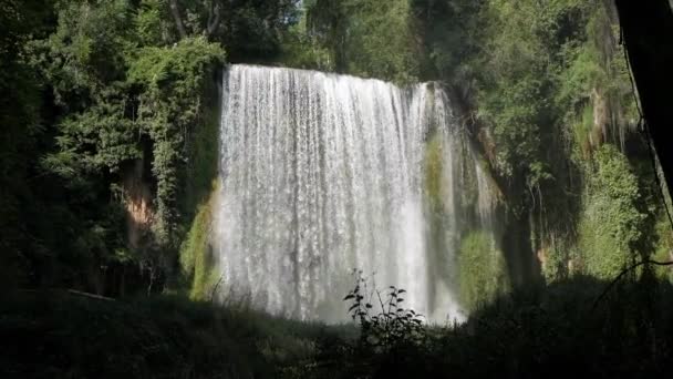 Beautiful Movie Cataract Waterfall Surrounded Vegetation Perfect Water Curtain Plunge — Stock Video