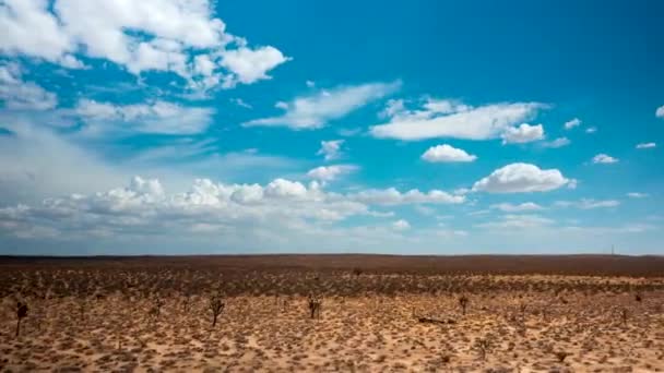 Josua Bäume Becken Der Mojave Wüste Mit Einer Wolkenlandschaft Über — Stockvideo