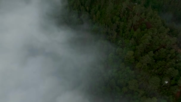 メキシコのオアハカ州サンノゼ パシフィコの空中飛行ドローンビュー 3と自然に囲まれた山の上の美しい村 — ストック動画