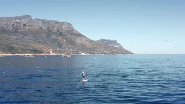 Man Sup Paddling Flock Seagull Birds Camps Bay Cape Town — Stock Video