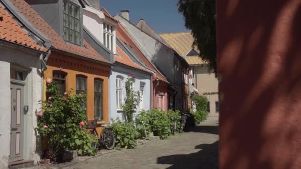 Mllestien Ancienne Rue Aarhus Danemark — Video