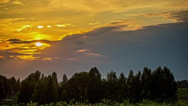 Goldener Sonnenuntergang Und Wolkenlandschaft Über Der Silhouette Eines Waldes Zeitraffer — Stockvideo