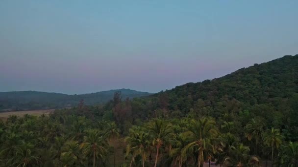 印度南果阿Polem海滩附近山脉的稠密热带森林 空中倾斜 — 图库视频影像