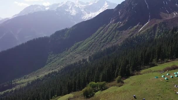 Prachtig Weelderig Bos Sneeuw Bedekte Bergen Uitzicht Vanaf Sar Pass — Stockvideo