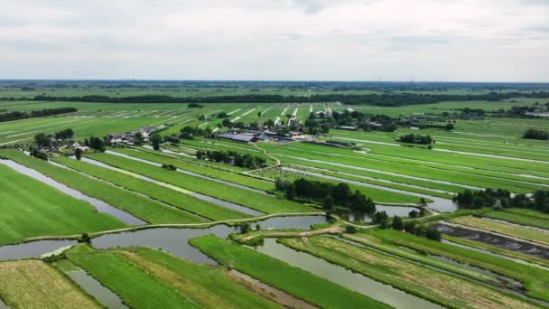 Terras Agrícolas Aráveis Krimpenerwaard Famosa Paisagem Polder Holandesa — Vídeo de Stock