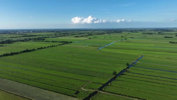 Hollanda Daki Tarıma Elverişli Polen Manzarası Üzerinde Yüksek Dron Görüntüsü — Stok video