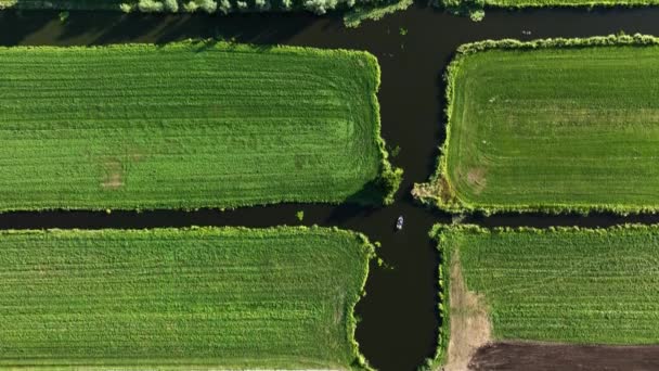 Visão Cima Para Baixo Lancha Deslizar Canal Terra Cultivada Polder — Vídeo de Stock