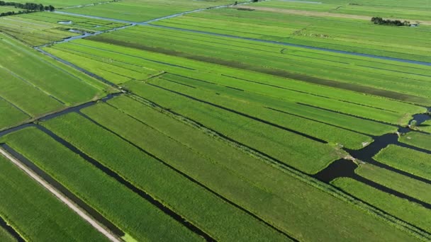 Polders Holandeses Exuberantes Divididos Por Numerosos Canais Água Vista Aérea — Vídeo de Stock