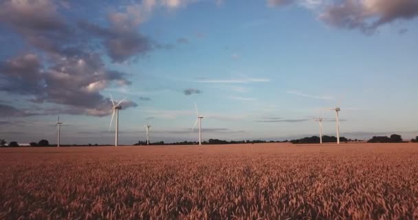 Low Angle Drone Shot Moving Forward Wind Turbines Field Amazing — Stock video