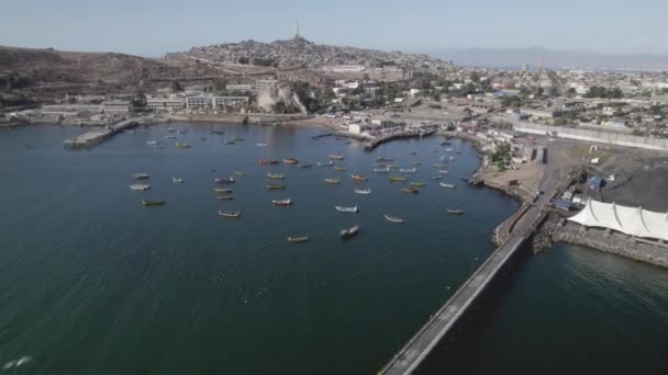 Şili Nin Kuzey Sahilinden Bir Dere Coquimbo Bölgesi — Stok video