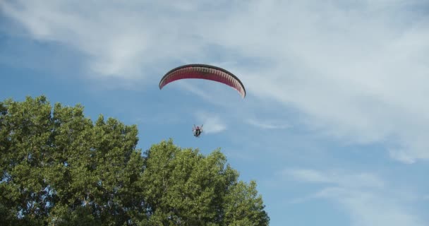 滑翔机飞过威斯康星州天空中的一棵树 — 图库视频影像