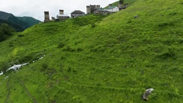 Vista Del Villaggio Adishi Upper Svaneti Georgia Ripresa Aerea Drone — Video Stock