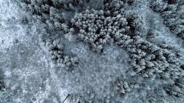 Overhead View Snowscape Forest Park Vinterbergen Flyguppifrån Och Ned — Stockvideo