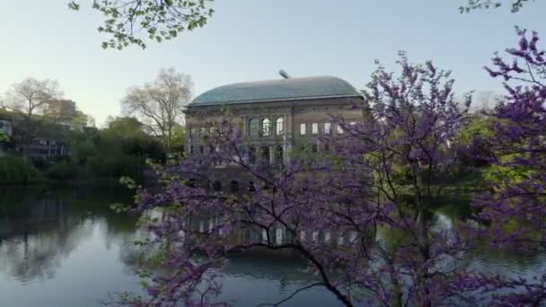 Vista Exterior Kunstsammlung K21 Standehaus Dusseldorf Alemania — Vídeos de Stock