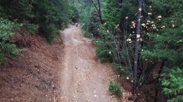 美国偏远森林里骑摩托车走过的山边崎岖的道路 静态射击 — 图库视频影像