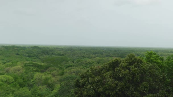 Cinematic Landscape Nature Footage Mayan Ruins Balam Middle Jungle Yucatan — Vídeo de stock
