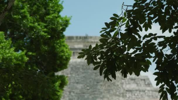 Filmagem Paisagem Cinematográfica Monumento Das Ruínas Maias Chichn Itz Uma — Vídeo de Stock