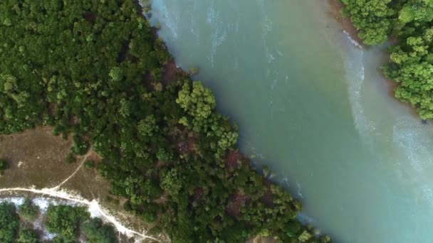 坦桑尼亚红树林沼泽地的空中景观 — 图库视频影像